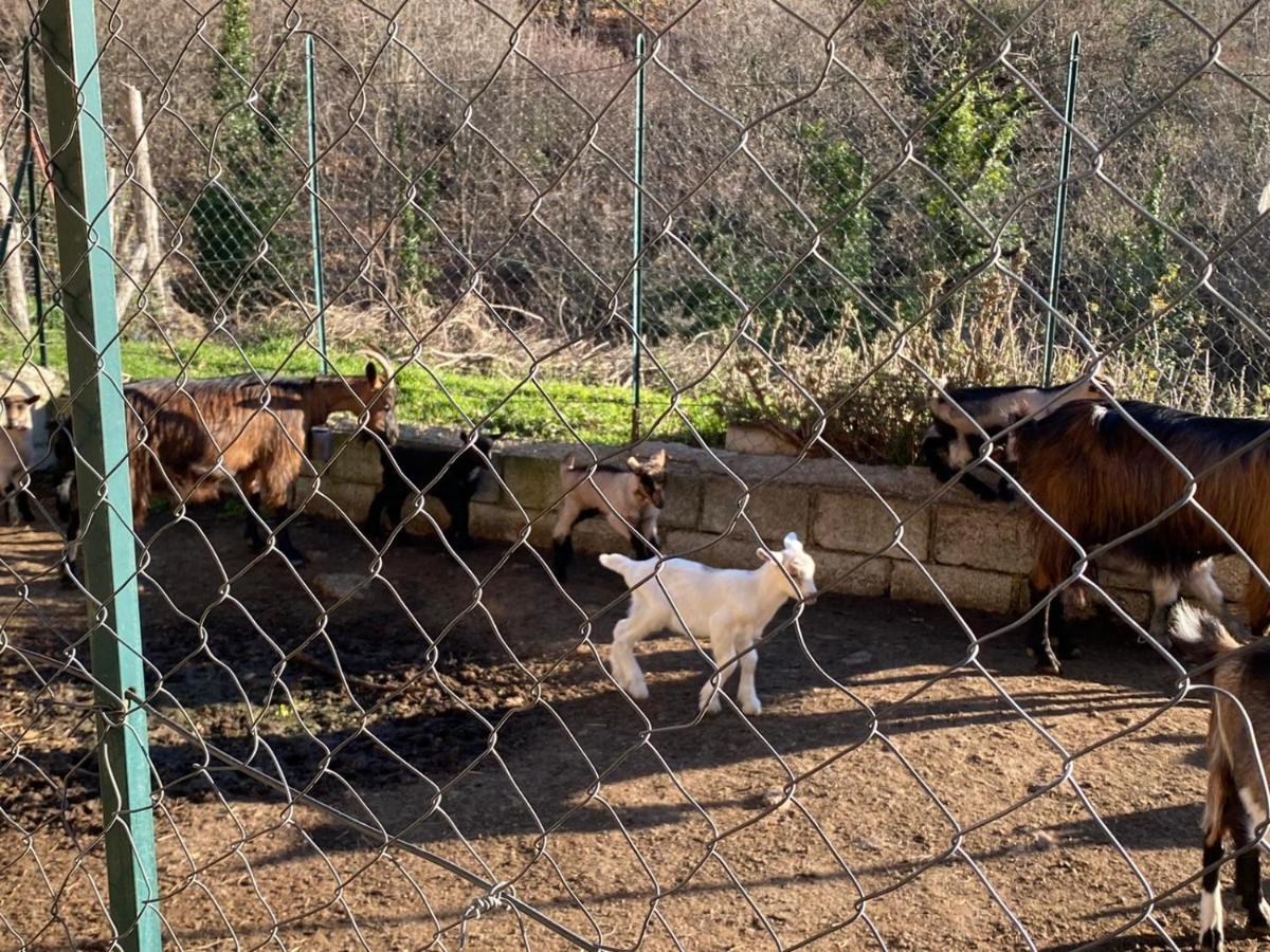 Agriturismo La Pigna Villa Corigliano Calabro Bagian luar foto